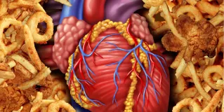 cardiovascular risk factors
