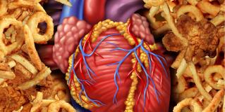 cardiovascular risk factors