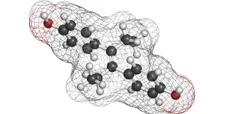 diethylstilbestrol