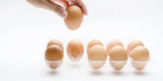 embryo selection