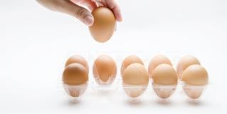 embryo selection
