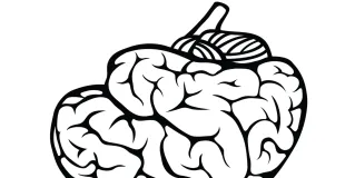brain death