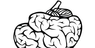 brain death