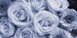 bereavement
