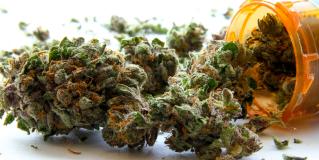 medical marijuana