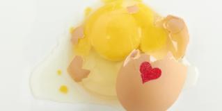 egg donors