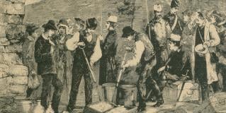 cholera 