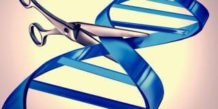 personalized medicine