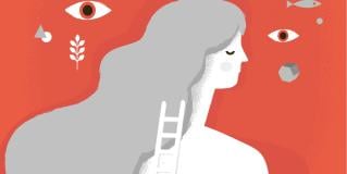 psychodynamic therapy