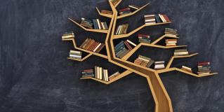 knowledge sources