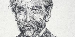 albert schweitzer
