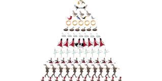 12 days of Christmas