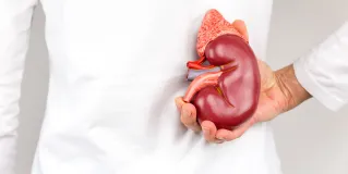 second kidney 