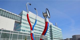 physician-employee and hospital relationship