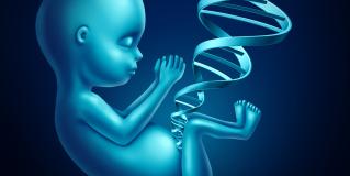 prenatal testing