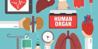 organ transplantation
