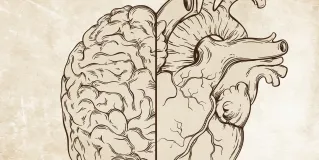 emotional intelligence