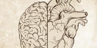 emotional intelligence