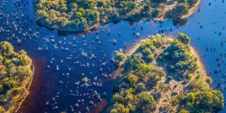 botswana