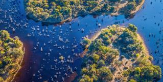 botswana