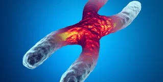 inherited disease
