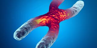 inherited disease