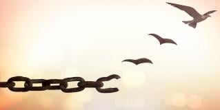 leading through change
