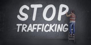 trafficking education