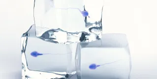 sperm banking