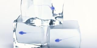 sperm banking