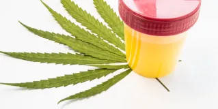 urine drug test