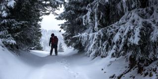 hypothermia