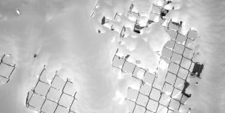 safety net gaps