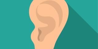 outer ear construction