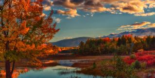 Maine