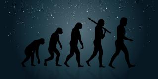 evolution