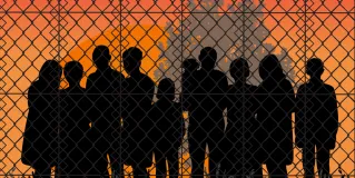 immigration law
