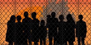 immigration law
