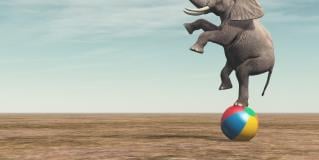 balancing parental wishes