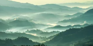 environmental bioethics