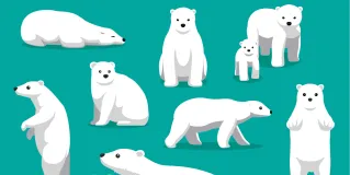 polarities