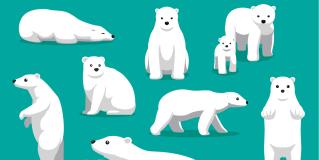 polarities