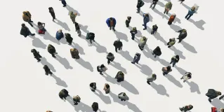 counter diversity