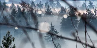 fog of evidence