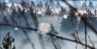 fog of evidence