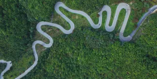 roadmap