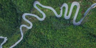 roadmap