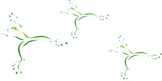 leap frogging