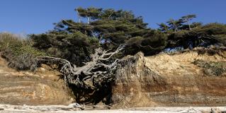 erosion