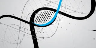 genetic information